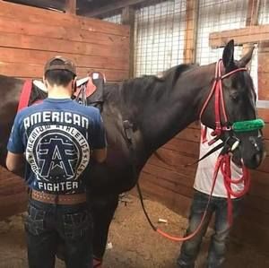 Meet your Posher, Edel